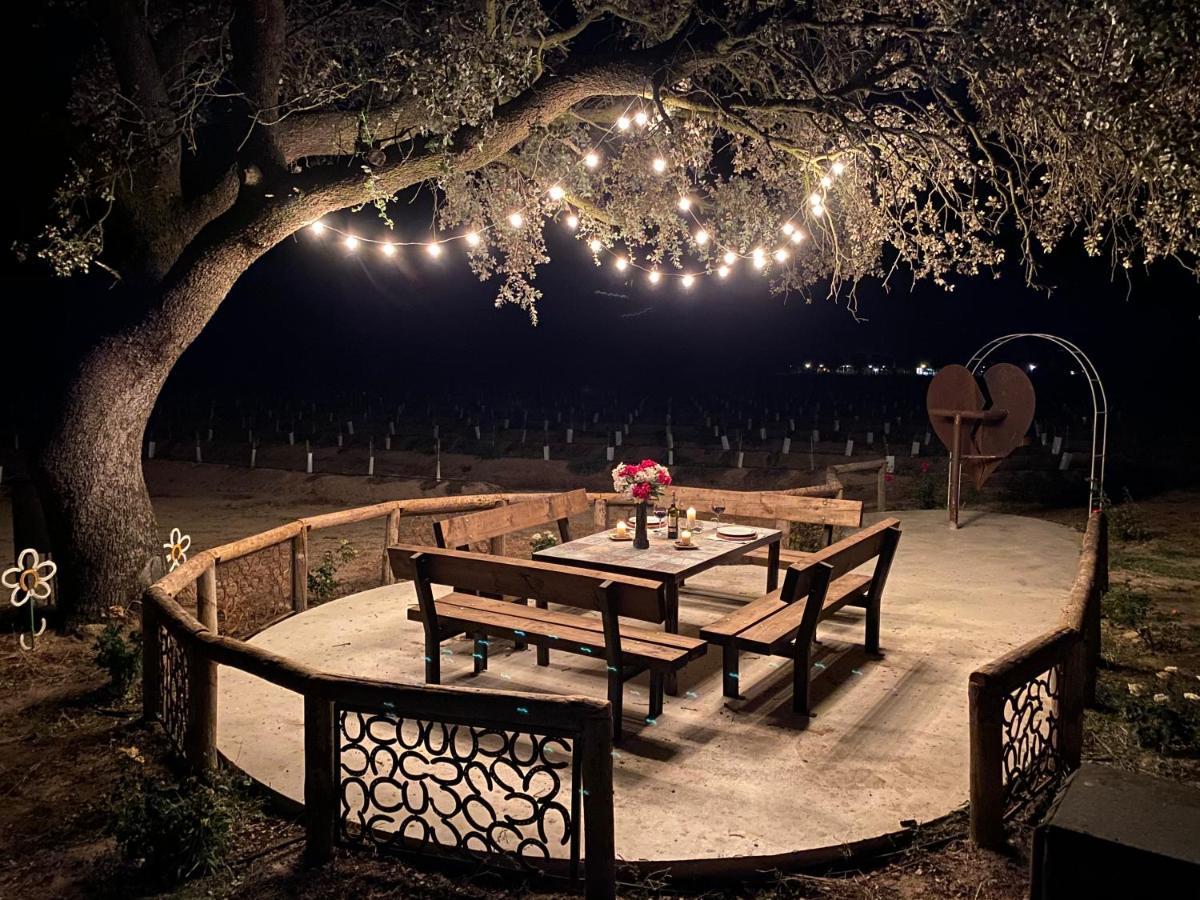 Finca Casaes Apartamentos Torralba de Oropesa Dış mekan fotoğraf