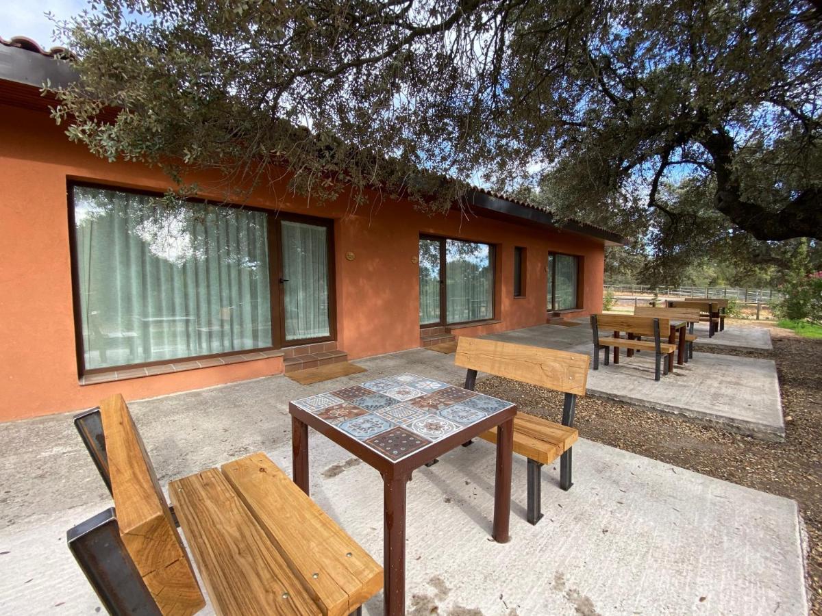 Finca Casaes Apartamentos Torralba de Oropesa Dış mekan fotoğraf