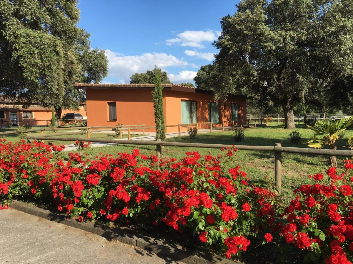 Finca Casaes Apartamentos Torralba de Oropesa Dış mekan fotoğraf